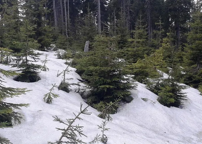 Pobyt V Krkonosich V Blizkosti Pece Pod Snezkou