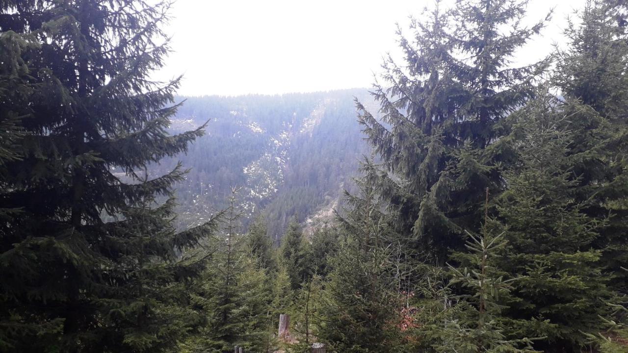 Apartment V Krkonosich V Blizkosti Pece Pod Snezkou Horni Marsov